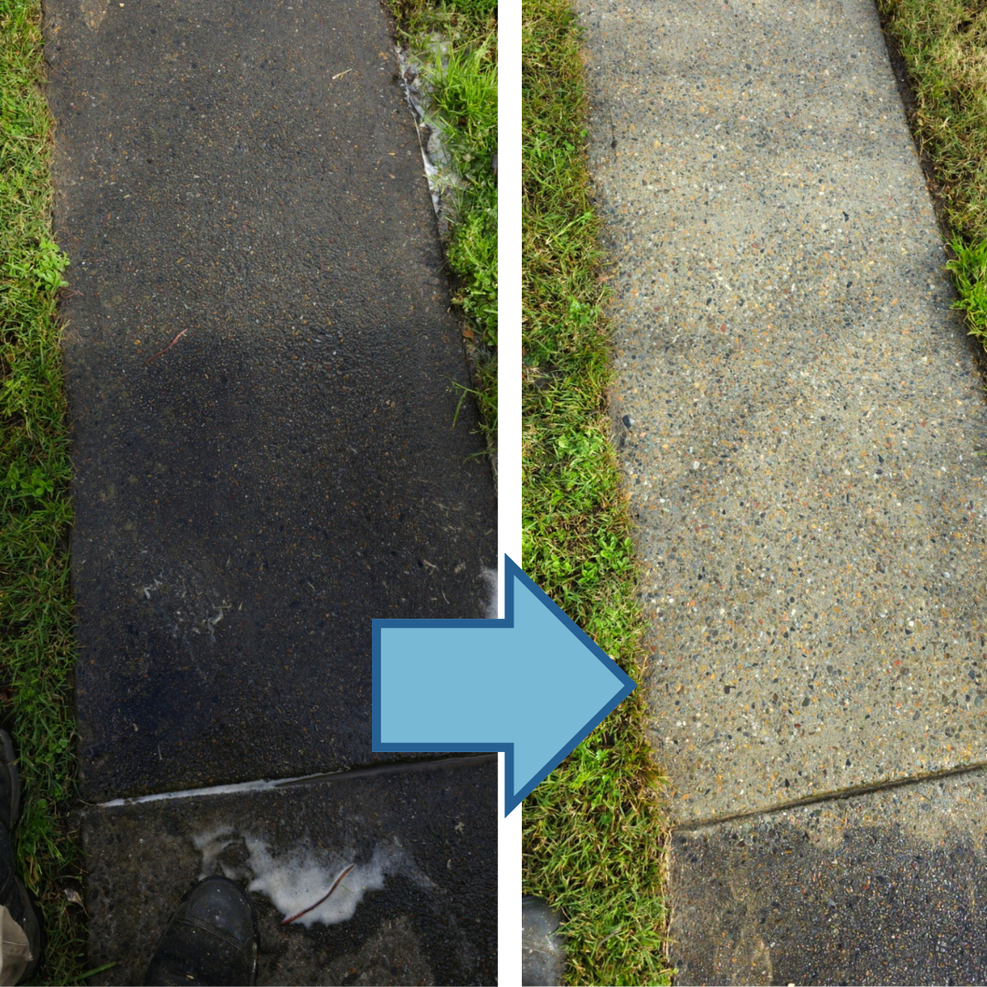 Professional roof soft washing before and after results Newcastle